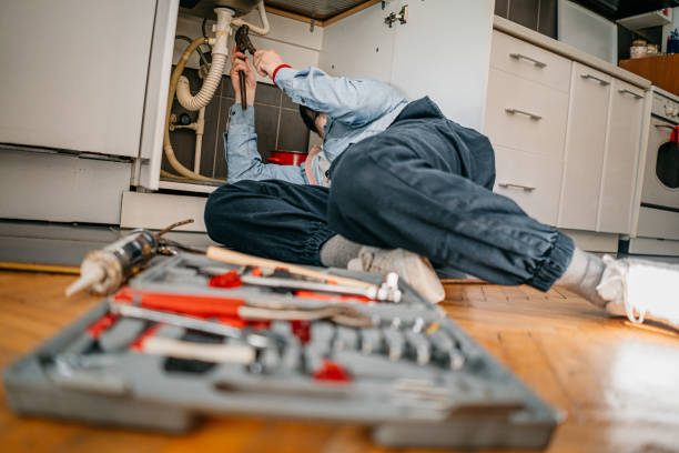 Best Plumbing Inspection Services  in St John, IN